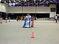 DSCF0605