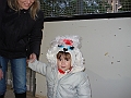 DSC04665