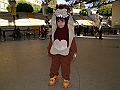 DSCF0236