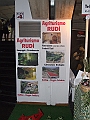 DSCF0732