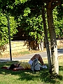 DSCF7065