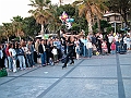 DSCF1613