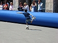 DSC01877