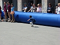 DSC01888