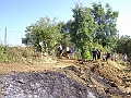 DSCF0353