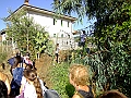 DSCF0356