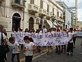DSC08461