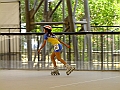 DSCF2149