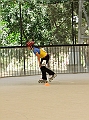 DSCF2237