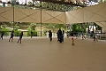 DSC08641